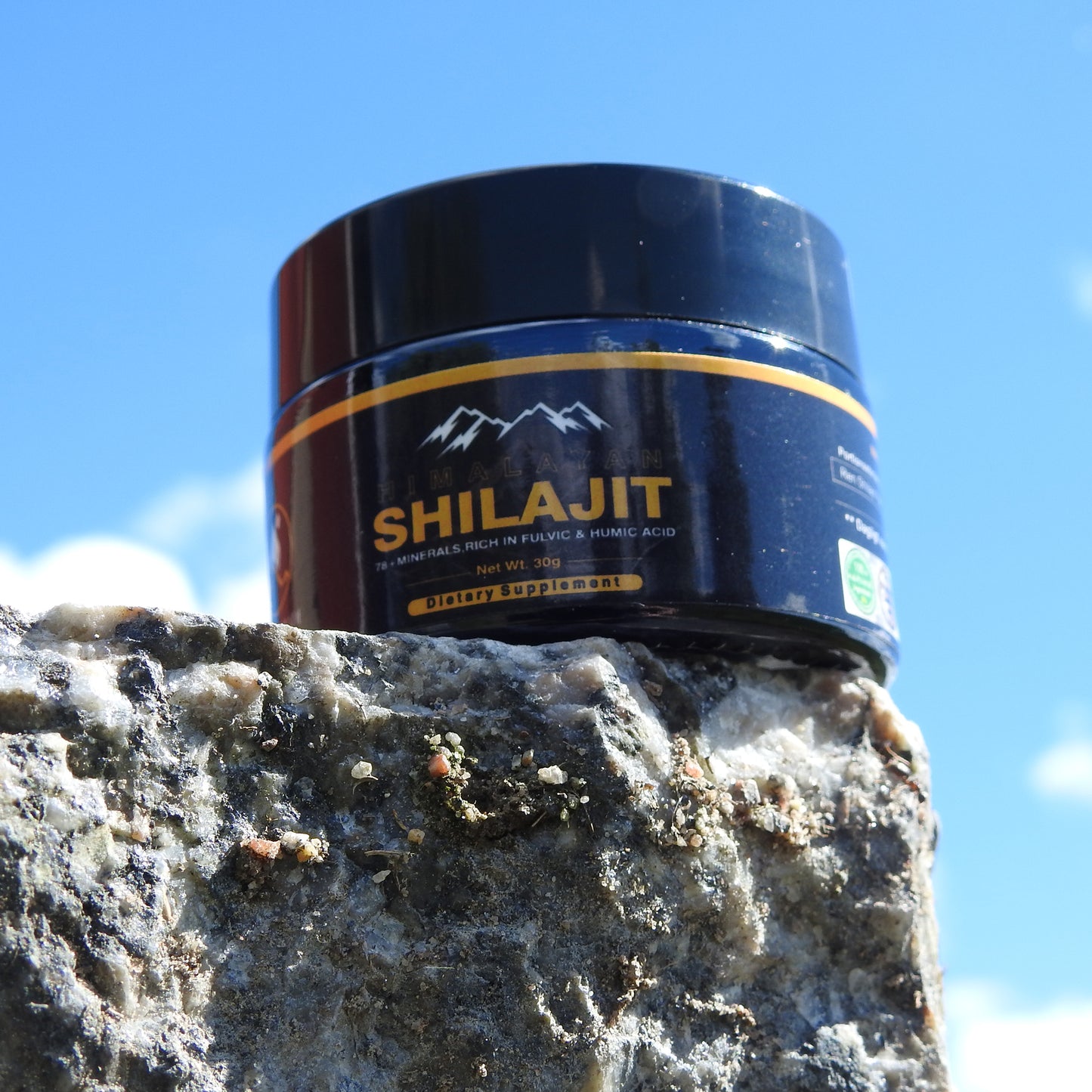 Himalayan Shilajit